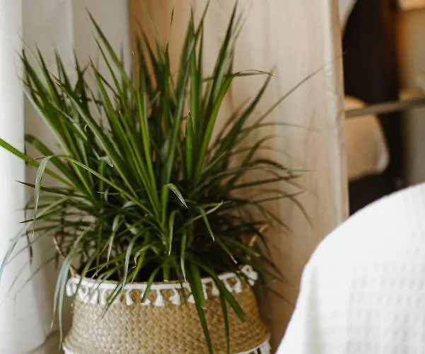 Center Appartamento Volos