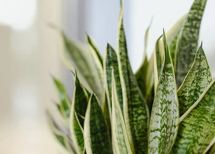 Appartamento Center *