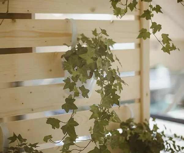 Center * ヴォロス